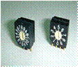 gif_rotarydipswitch_RI400